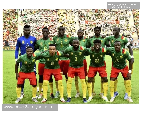 佩佩因不当言论遭批评无缘代表科特迪瓦征战非洲杯